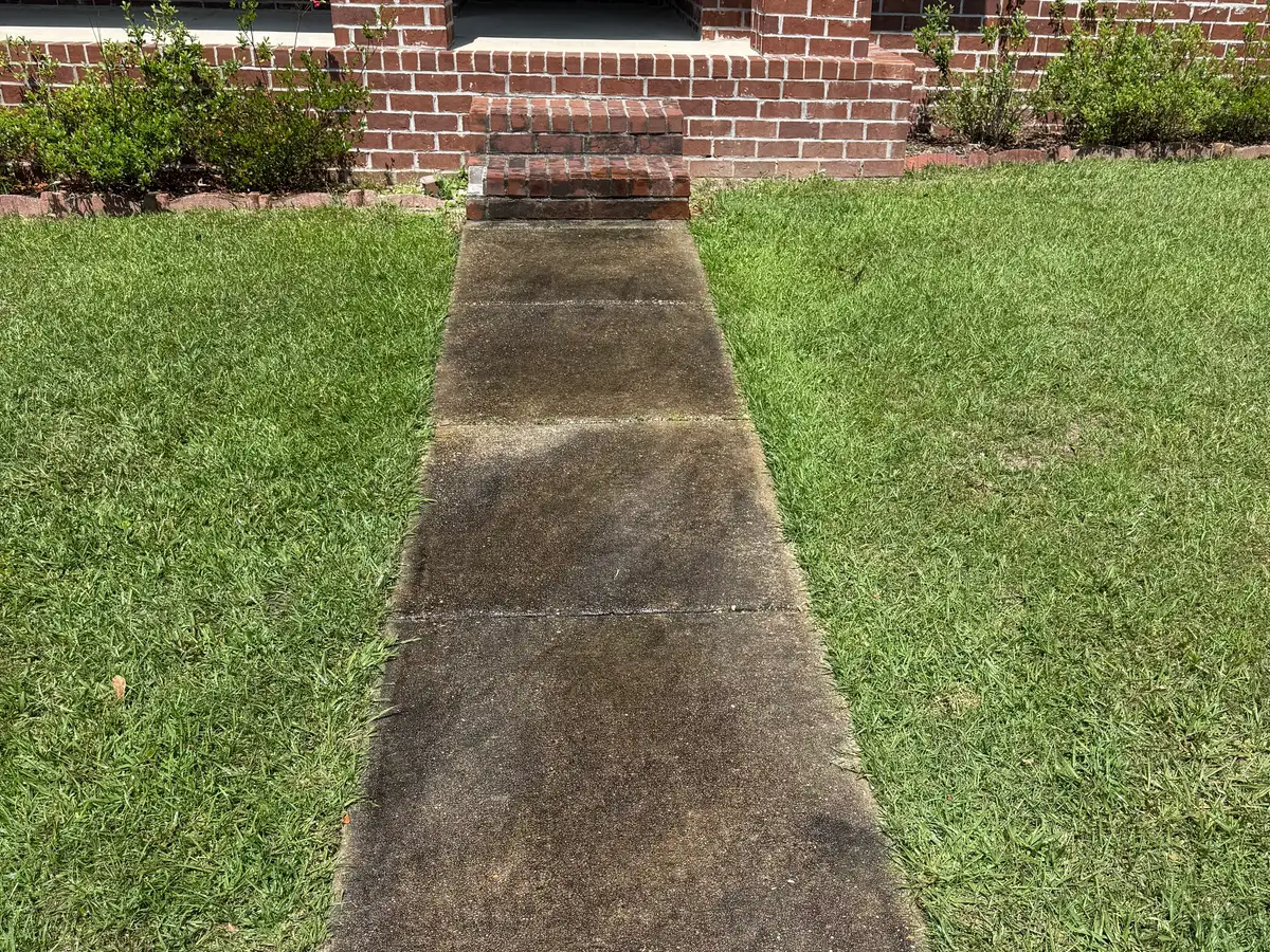 Concrete walkway covered in dark mildew and grime before cleaning